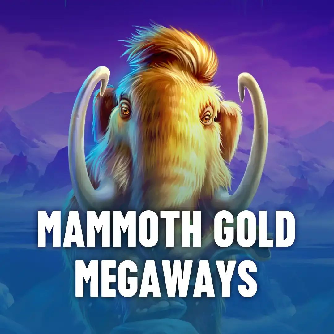 15win .com